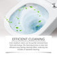 🚽Oxalic Acid Powerful Stain Cleaner