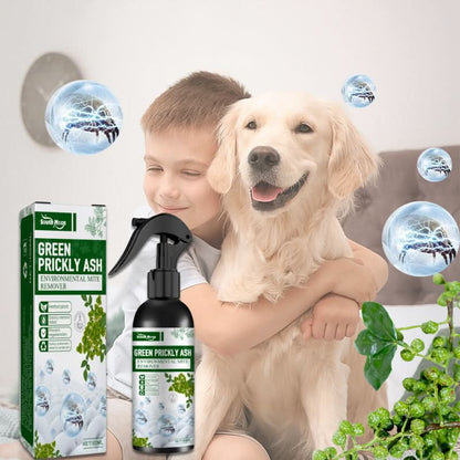 💕Koop 2 krijg 1 gratis🎉Krachtige mijtenverwijderaar spray