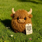 🐮🔥 Kerstuitverkoop 50% Korting! Emotional Support Highland Cow Plush – Ultrasoft, Charmant Ontwerp & Troostende Knuffel（Perfect Cadeau!）