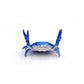 🔥LAATSTE DAG 50% KORTING💥❤️🤣 Grappige hot sale - 🦀 Schattige pennenhouder in de vorm van een krab