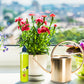 🌿 Universele Plantenvoeding – Voor Binnen & Buiten | Gezonde Groei in Één Fles