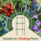 ✨ Verstelbaar modulair plantensteunframe – Biedt stevige ondersteuning voor bloeiende klimplanten! ✨