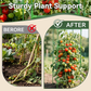 ✨ Verstelbaar modulair plantensteunframe – Biedt stevige ondersteuning voor bloeiende klimplanten! ✨