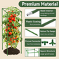 ✨ Verstelbaar modulair plantensteunframe – Biedt stevige ondersteuning voor bloeiende klimplanten! ✨