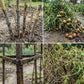 🌱Verstelbare klimplantensteun
