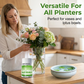 🦠💀 50% KORTING! 50K+ VERKOCHT! Stop met het wekelijks verschonen van stinkend vaaswater! Deze snelwerkende zuiveringstablet lost algen op, maakt water glashelder, en je planten groeien als nooit tevoren!