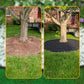 🏡 50% KORTING! 🌿 Tuinrand 10 m met 30 haringen – Duurzaam PE‑materiaal, eenvoudig te knippen en snel te plaatsen – Perfect voor het afbakenen van gazons en plantenbedden 🌱