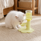 🐱💧 50% KORTING | Verhoogde Katten Drinkbak – 3 Hoogtes & Automatisch Bijvullen