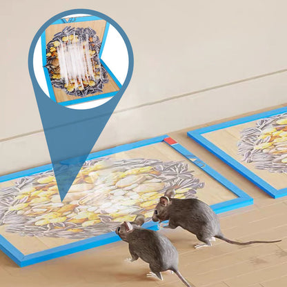 🏡 50% KORTING ✨ Houd Je Woning Comfortabeler Met Deze Wegwerp Muizenvallen Voor Binnengebruik 🐭