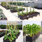 🌱 Bespaar 50%! 🥬 Multifunctionele plantenbak – Kweek gemakkelijk groenten en kruiden ✨