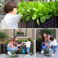 🌱 Bespaar 50%! 🥬 Multifunctionele plantenbak – Kweek gemakkelijk groenten en kruiden ✨
