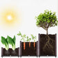 🌱 Bespaar 50%! 🥬 Multifunctionele plantenbak – Kweek gemakkelijk groenten en kruiden ✨