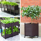 🌱 Bespaar 50%! 🥬 Multifunctionele plantenbak – Kweek gemakkelijk groenten en kruiden ✨
