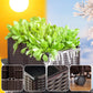 🌱 Bespaar 50%! 🥬 Multifunctionele plantenbak – Kweek gemakkelijk groenten en kruiden ✨