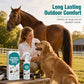 🐾 50% KORTING! Natuurlijke Parasietenspray voor Huisdieren – Helpt Vlooien & Teken Afweren 🌿