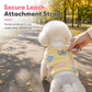 🐕 2+1 GRATIS – Warme Hondentrui met Geïntegreerde Riemring | Comfortabel voor Binnen & Buiten | Voor Koude Dagen