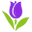 tulipbuy logo